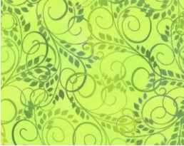 PAWsitivity by Jason Yenter for In the Beginning Fabrics - 15-Piece Fat Quarter Bundle