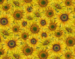 M50 Surf's Up - Bundle #8 Features Honey Bees and Flowers Please (Wilmington Prints)