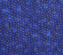 M50 Surf's Up - Blue Floral Bundle