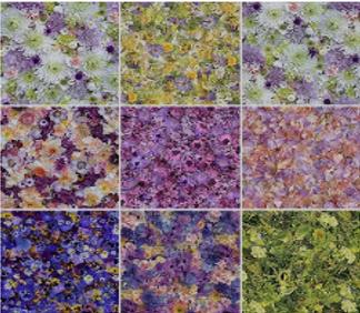 Hand Picked First Light by Maywood Studio - 40 Piece Strip Set