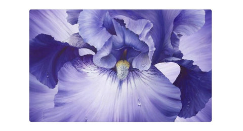 Lush Violet DP24191 by Hilary Mayes for Northcott Fabric Panel ≈ 43"x44"