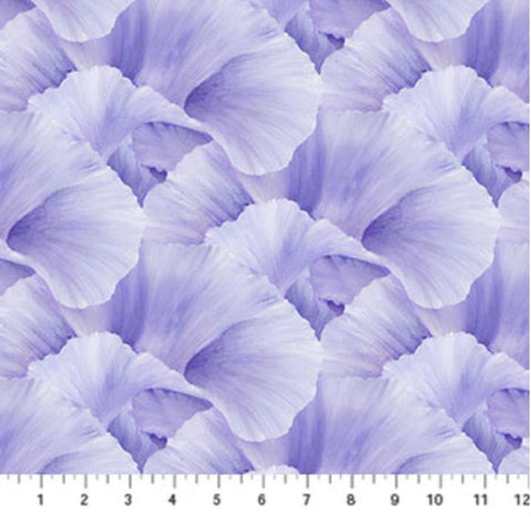 Lush Violet by Hilary Mayes for Northcott  DP24192-83 Light Violet