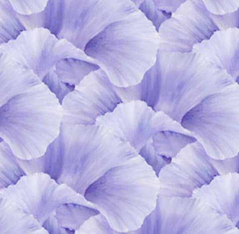 Lush Violet by Hilary Mayes for Northcott  DP24192-83 Light Violet