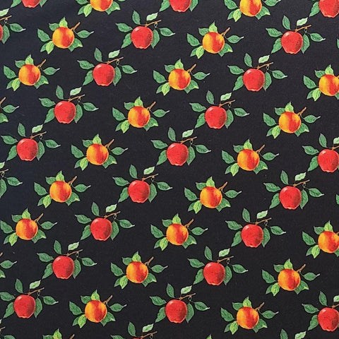 BTR-6046 Chris Himrichs for Blank Quilting 2010 - Black Fabric / Red, Gold, Green Apple Bias Stripe Print