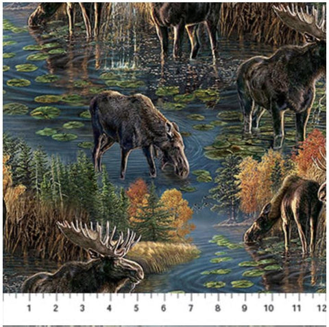 Naturescapes Autumn Woodland DP28412-48 Blue Multi