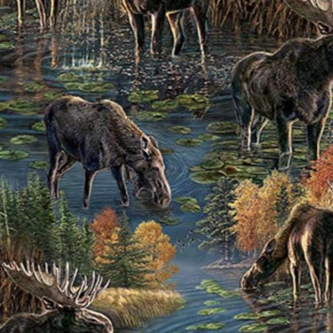 Naturescapes Autumn Woodland DP28412-48 Blue Multi