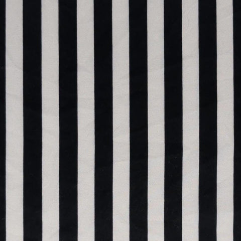 Black and White "Tent Stripe" Fabric