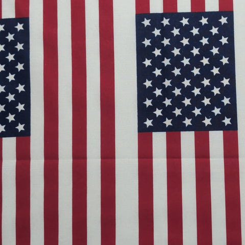 Faye Burgos Marcus Brothers Textiles - Red, White, Blue Flag Print Fabric