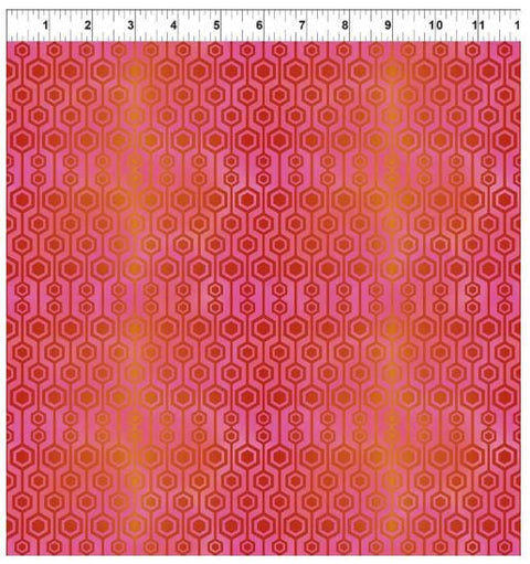PAWsitivity 8PAW-1 Hex - Red by Jason Yenter for In the Beginning Fabrics