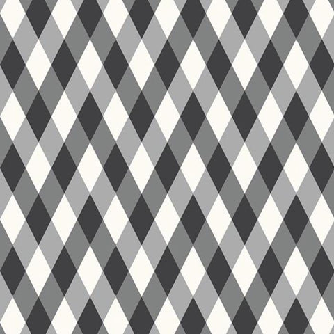 Frank and Friends by My Mind's Eye for Riley Blake Designs 2026 C17473-BLACK Diamonds