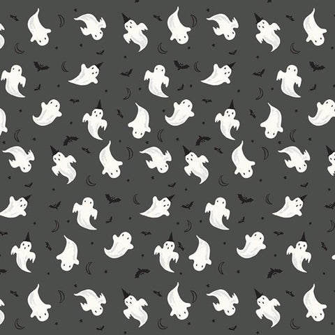 Frank and Friends by My Mind's Eye for Riley Blake Designs 2026 GC17475-CHARCOAL Ghosts - Glows in the Dark