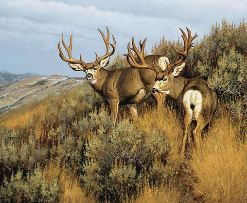 Majestic in Nature Low Country Mulies Panel Riley Blake Designs PD15981 36"x43"