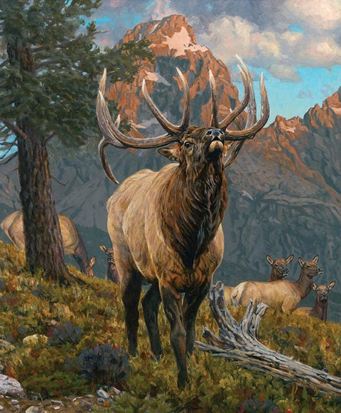 Majestic in Nature Grand Elk Panel Riley Blake Designs PD15980 36"x43"