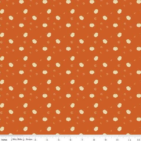 Bountifil by Sandy Gervais for Riley Blake Designs - Pumpkins Autumn C17864-AUTUMN