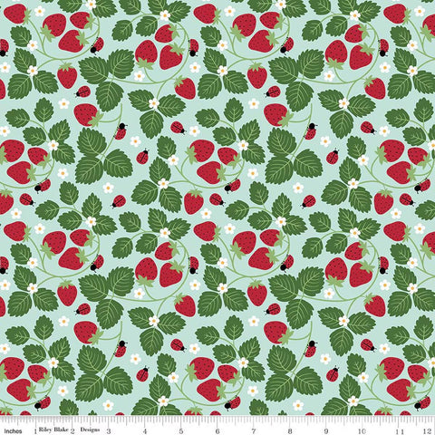 Little Ladybug by Lori Whitlock for Riley Blake Designs 2026 C18031-BLUE Strawberries Blue