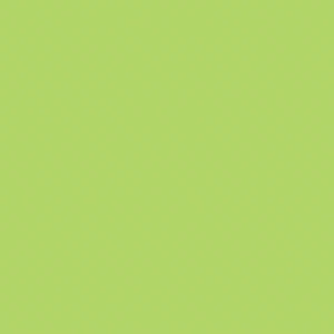 Confetti Cotton C120-WASABI for Riley Blake Designs